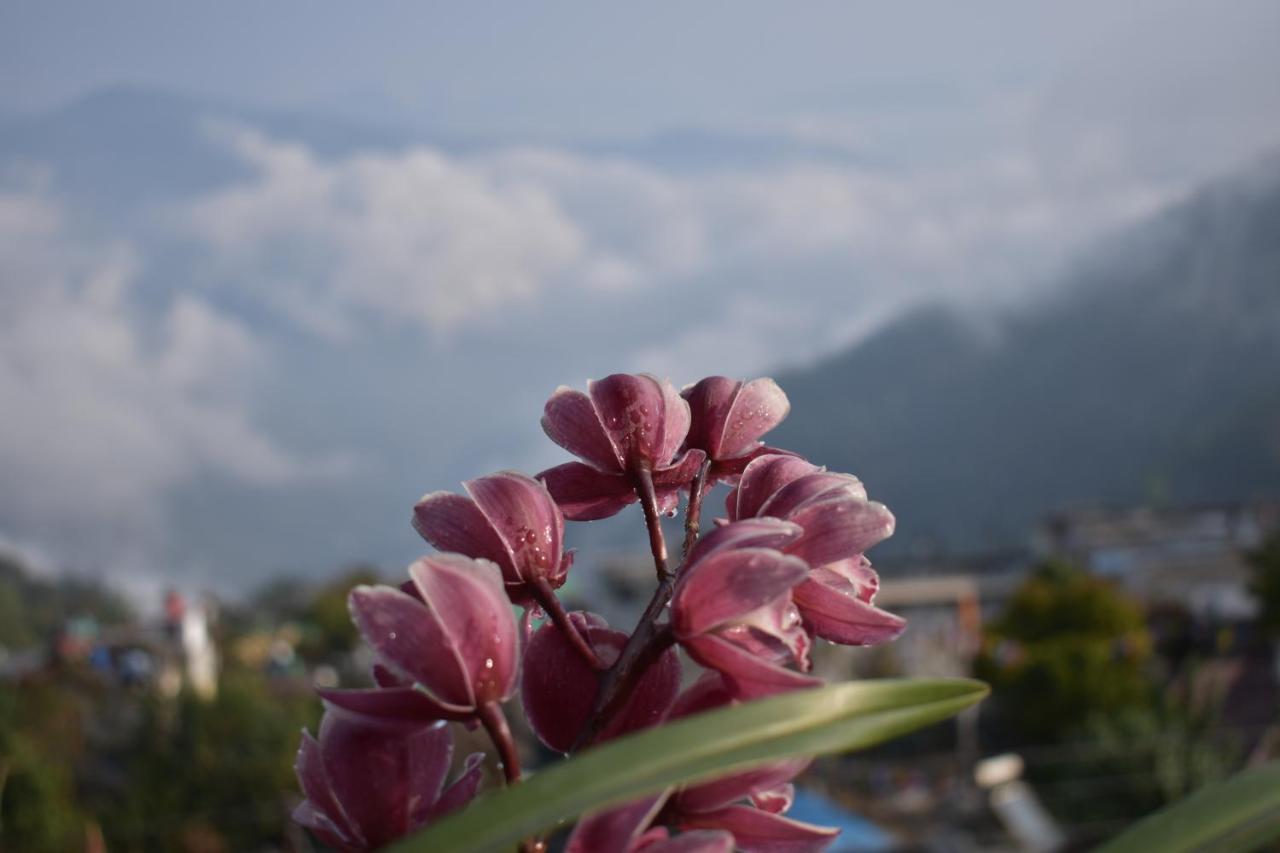 Seven Hills Homestay Kalimpong Exterior photo